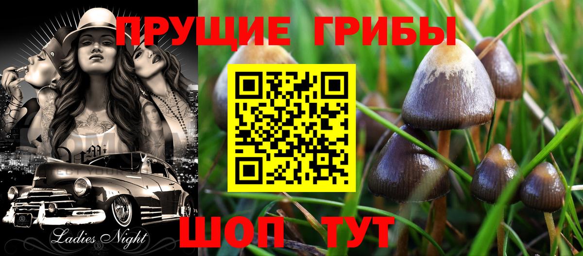 Псилоцибиновые грибы Magic Shrooms  Вход с VPN  Ахтубинск 